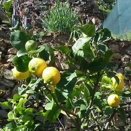 Da Paulin Μαναρόλα