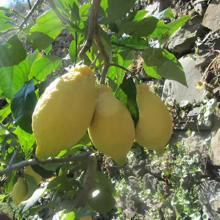 Da Paulin Gæstehus 4*